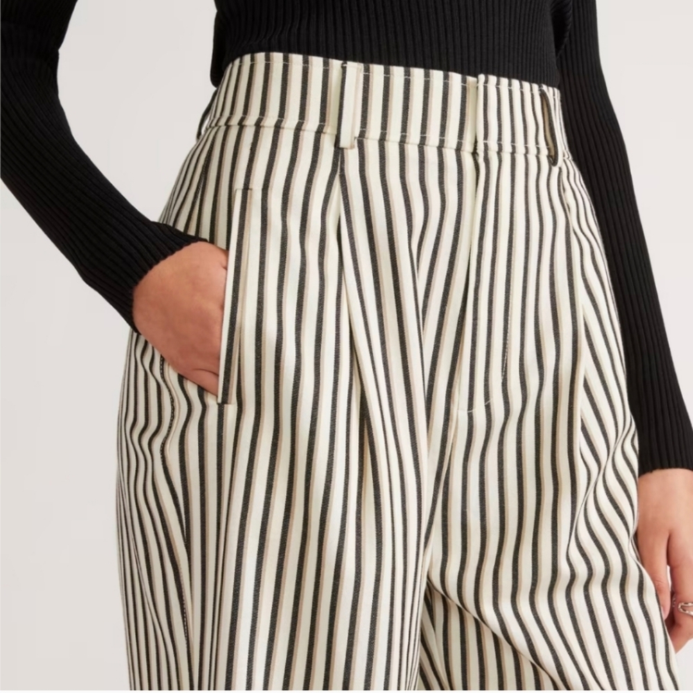 Everlane Way-High Drape Pant Ombre Stripe
